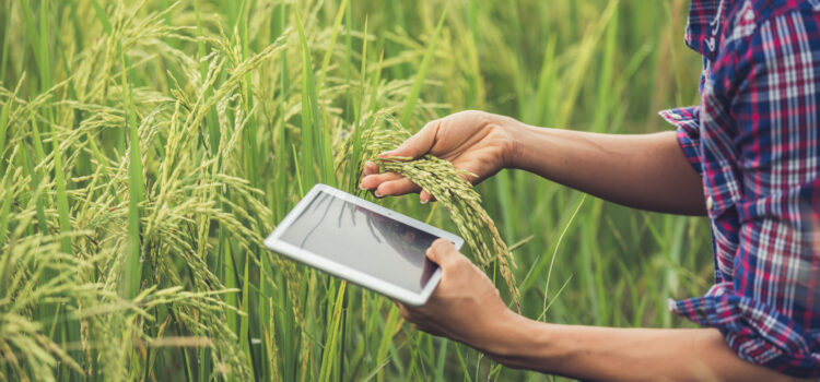 Jornada técnica. Seguridad y salud en la agricultura (I+D+i): retos de futuro